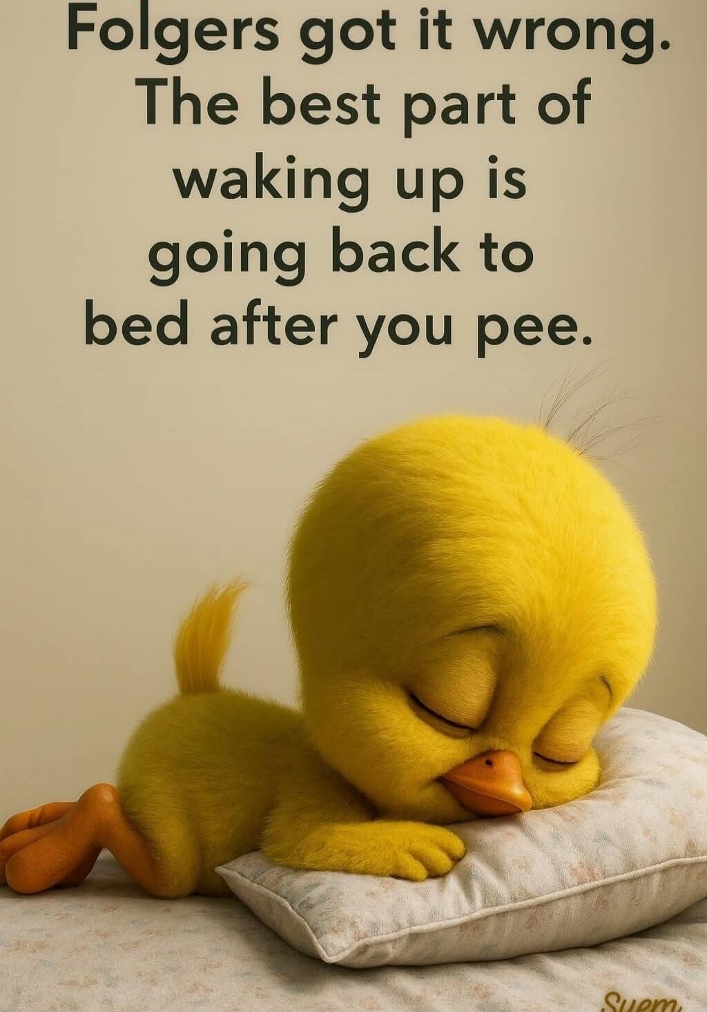 Folgers got it wrong. The best part of waking up is going back to bed after you pee.