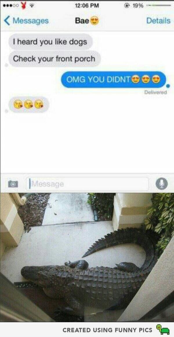 I heard you like dogs. Check your front porch. OMG YOU DIDNT. Bae. Messages. Details. Message. Delivered. CREATED USING FUNNY PICS.