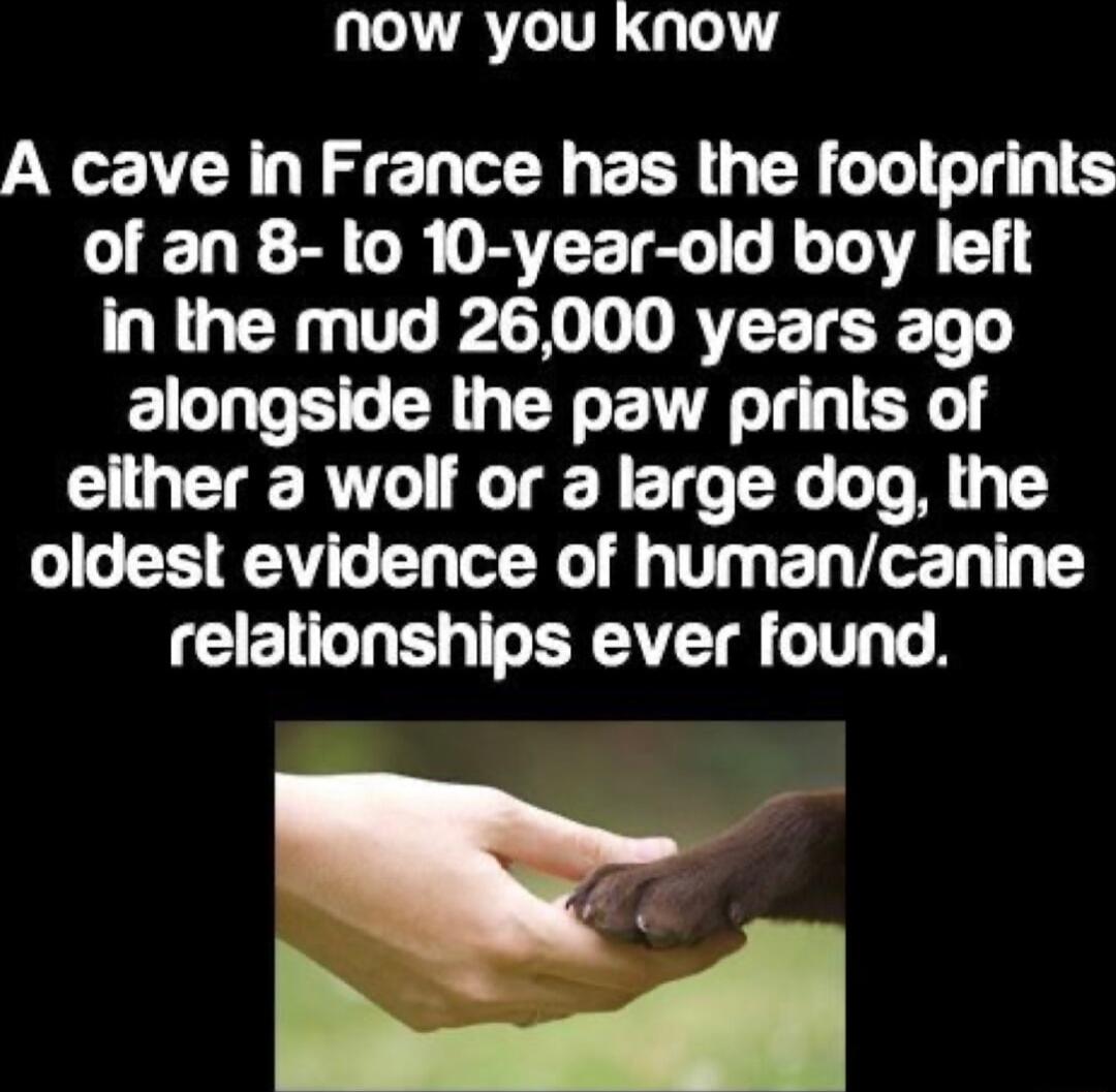 NOw you know A cave in France has the footprints of an 8 to 10 year old boy left in the mud 26000 years ago alongside the paw prints of either a wolf or a large dog the oldest evidence of humancanine CELICN T T ERAETR T T A Qf