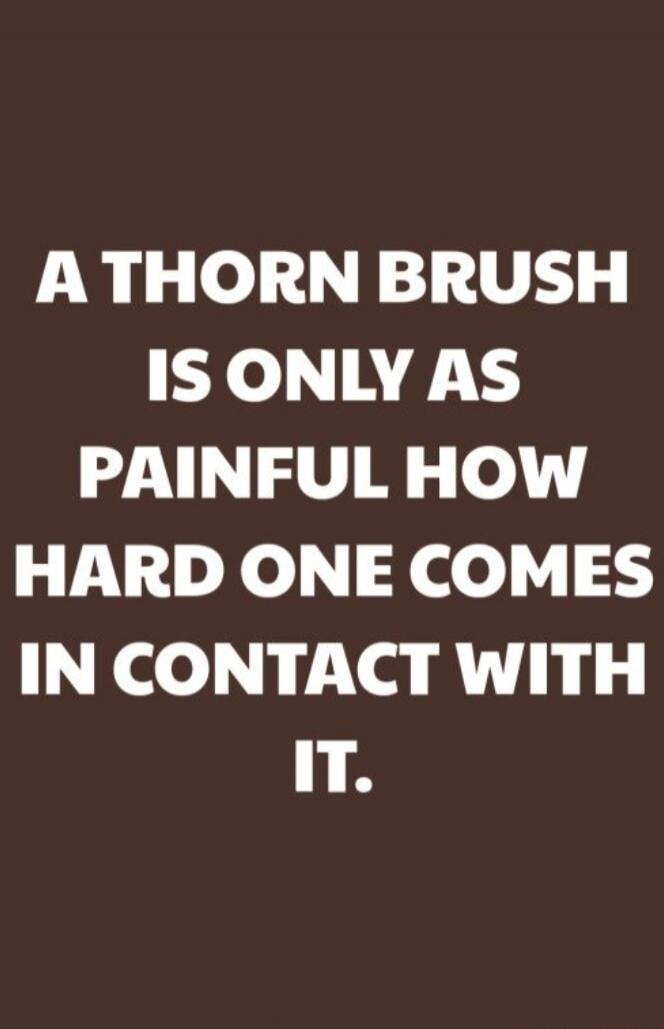 A THORN BRUSH IS ONLY AS PAINFUL HOW HARD ONE COMES IN CONTACT WITH IT.