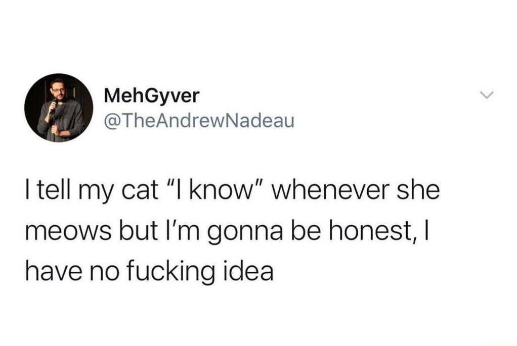 MehGyver TheAndrewNadeau I tell my cat I know whenever she meows but Im gonna be honest have no fucking idea