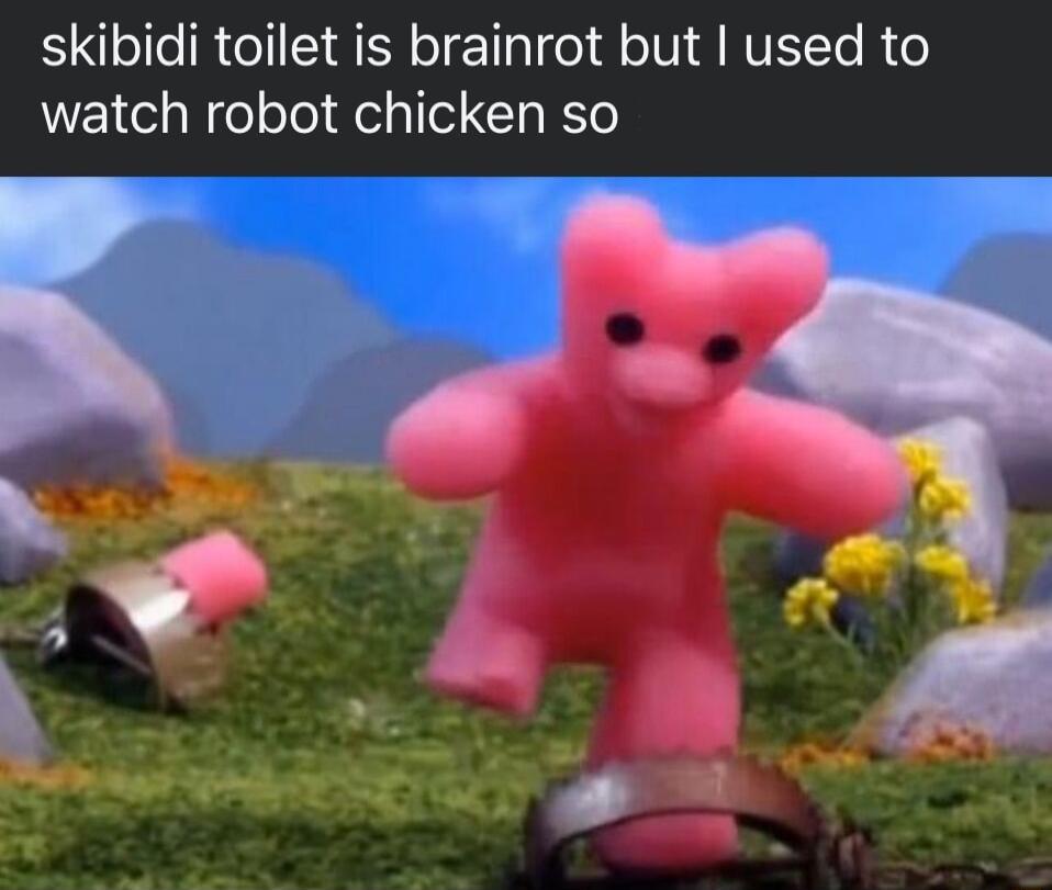 skibidi toilet is brainrot but used to watch robot chicken so