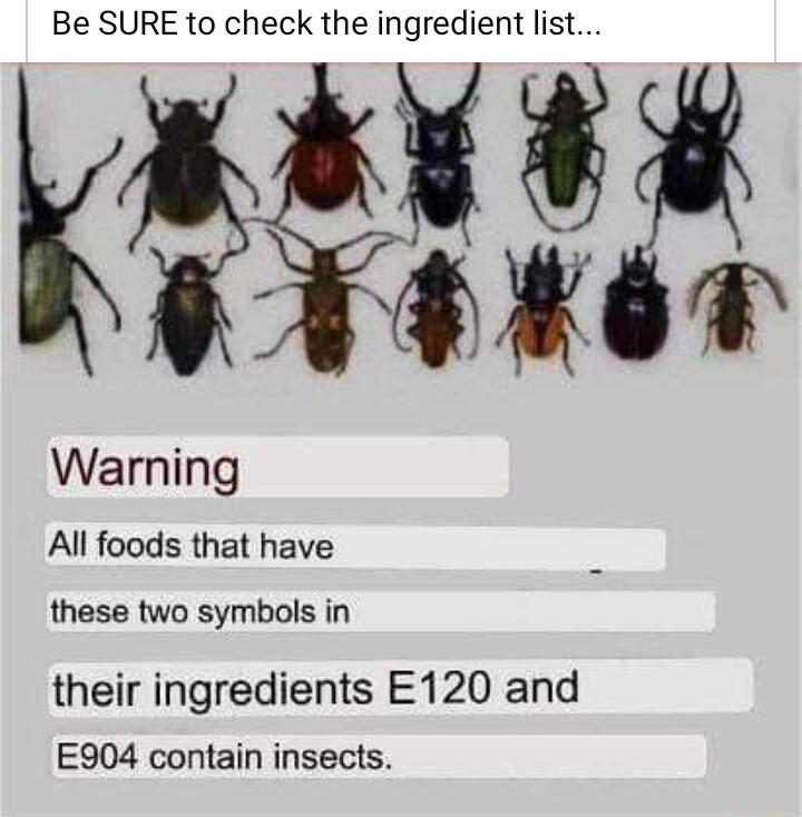 Be SURE to check the ingredient list L Warning All foods that have these two symbols in their ingredients E120 and E904 contain insects