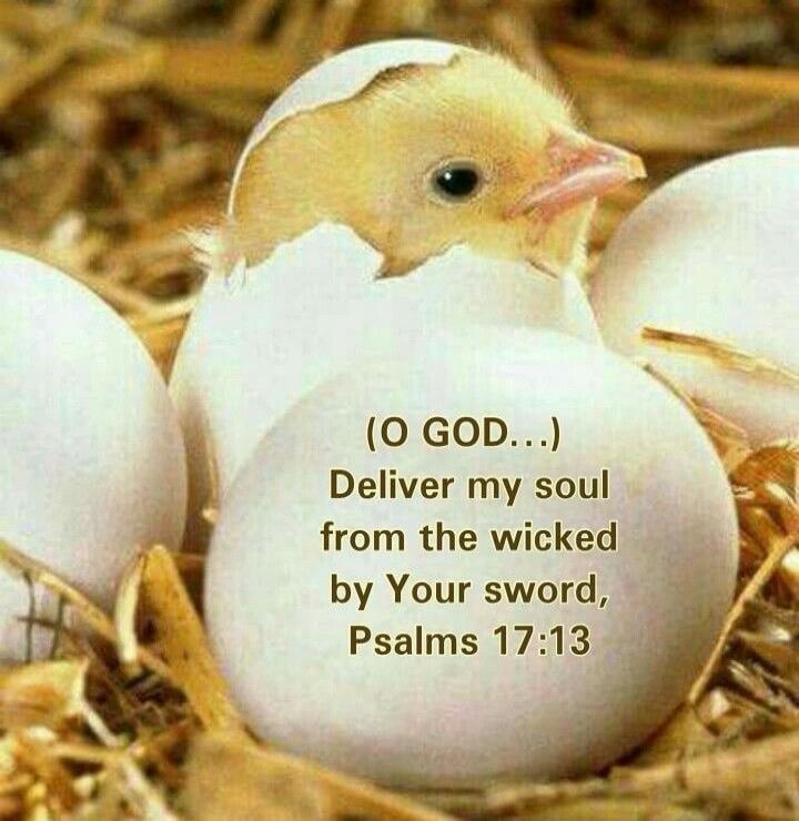 (O GOD...) Deliver my soul from the wicked by Your sword, Psalms 17:13