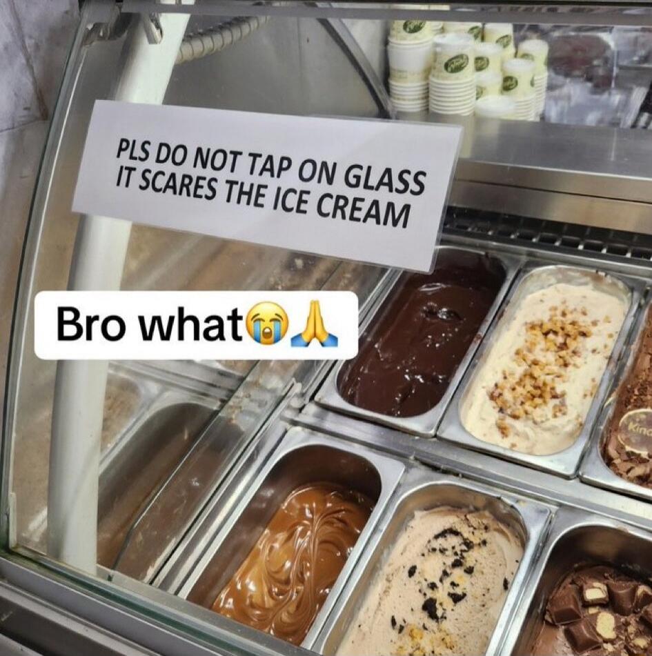 PLS DO NOT TAP ON GLASS IT SCARES THE ICE CREAM Bro what 😭🙏