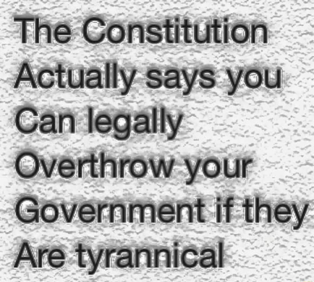 The Constitution Actually says you Can legally Overthrow your Government if they Are tyrannical