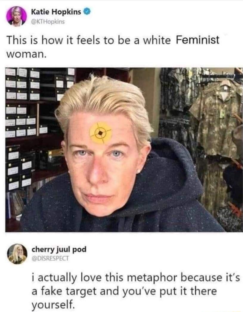 Katie Hopkins This is how it feels to be a white Feminist woman cherry juul pod e i actually love this metaphor because its a fake target and youve put it there yourself