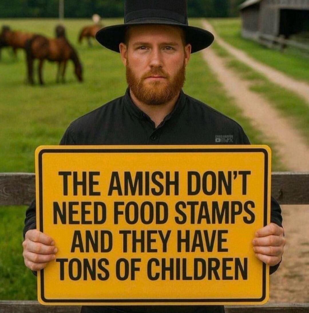 THE AMISH DON'T NEED FOOD STAMPS AND THEY HAVE TONS OF CHILDREN