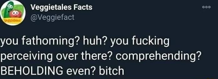 Veggietales Facts Veggiefact you fathoming huh you fucking perceiving over there comprehending BEHOLDING even bitch