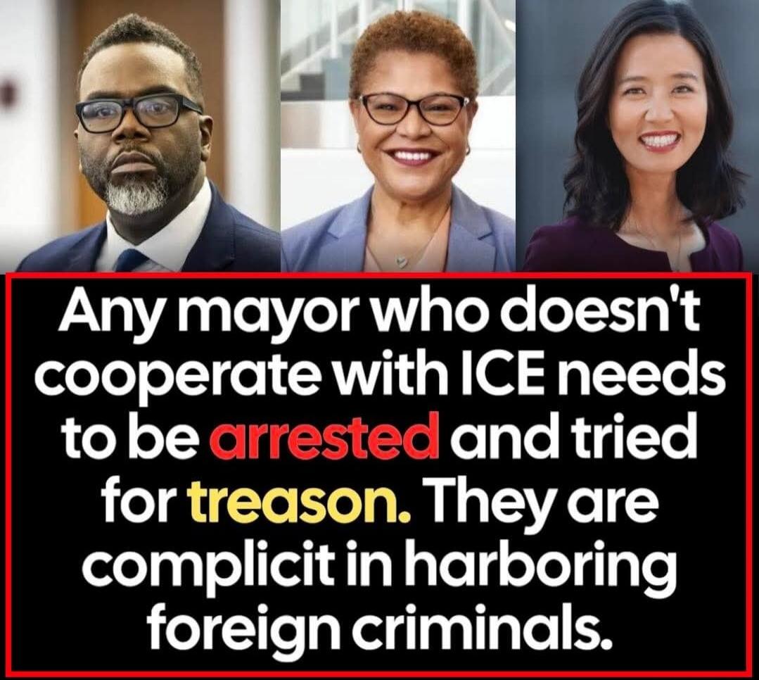 Any mayor who doesn't cooperate with ICE needs to be arrested and tried for treason. They are complicit in harboring foreign criminals.