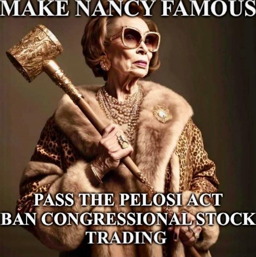 MAKE NANCY FAMOUS
PASS THE PELOSI ACT
BAN CONGRESSIONAL STOCK TRADING