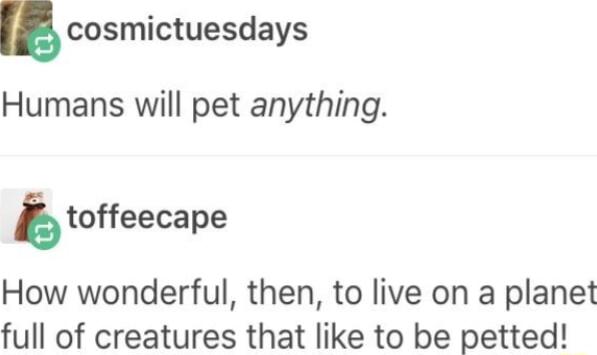 cosmictuesdays Humans will pet anything b toffeecape How wonderful then to live on a planet full of creatures that like to be petted