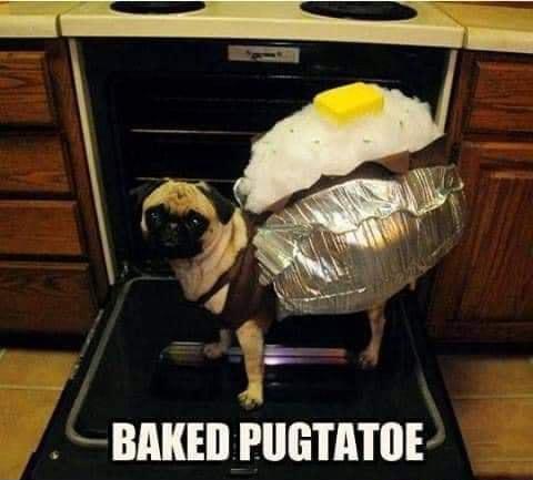 N _i_ 1 3 4 _BAKEDPUGTATOE