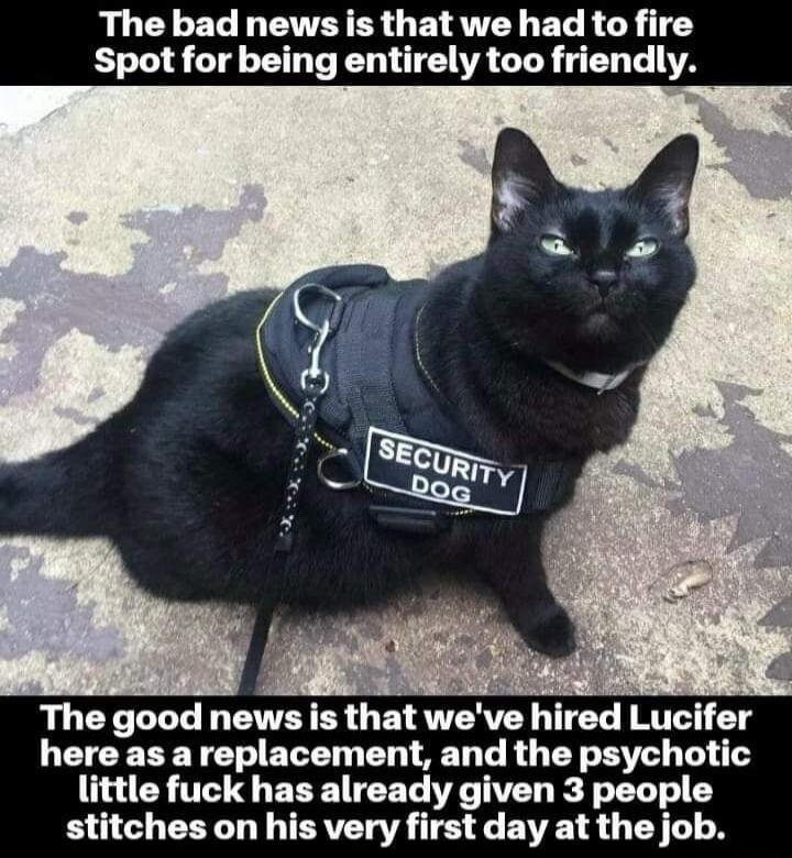 bad news is that we had to fire Spot for being entirely too friendl The good news is that weve hired Lucifer here as a replacement and the psychotic little fuck has already given 3 people stitches on his very first day at the job