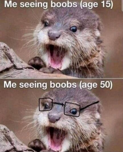 Me seeing boobs (age 15) Me seeing boobs (age 50)