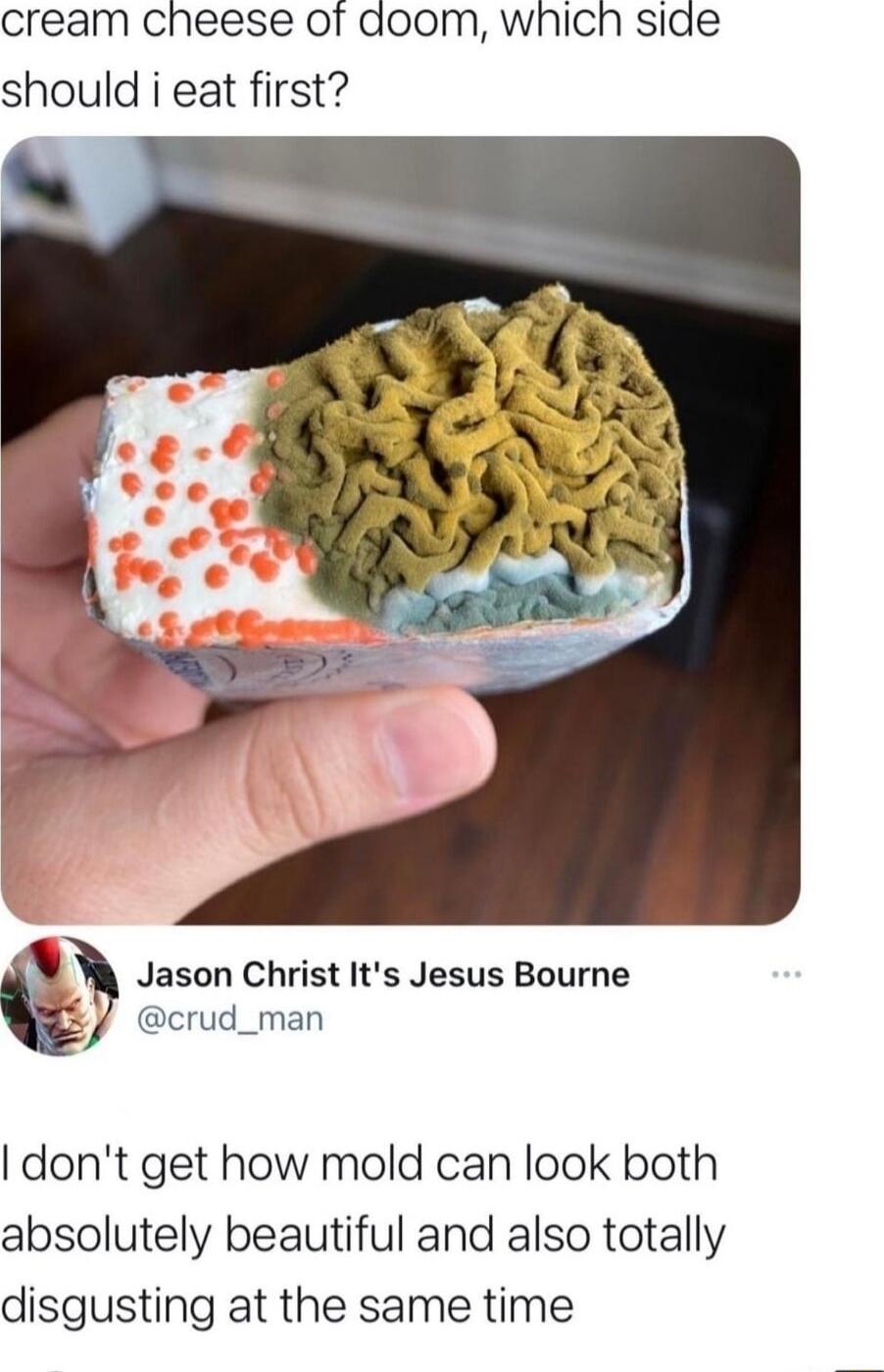 Cream cheese of doom which siae should i eat first Jason Christ Its Jesus Bourne crud_man dont get how mold can look both absolutely beautiful and also totally disgusting at the same time