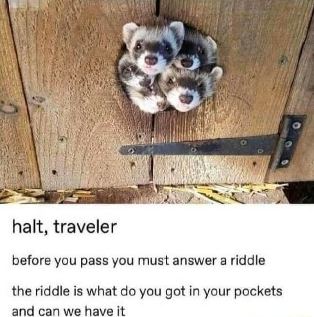 halt traveler before you pass you must answer a riddle the riddle is what do you got in your pockets and can we have it