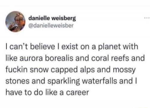 I can’t believe I exist on a planet with like aurora borealis and coral reefs and fuckin snow cappe d alps and mossy stones and sparkling waterfalls and I have to do like a career