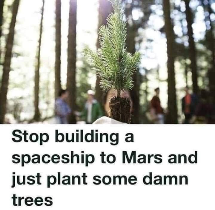 Stop building a spaceship to Mars and just plant some damn trees