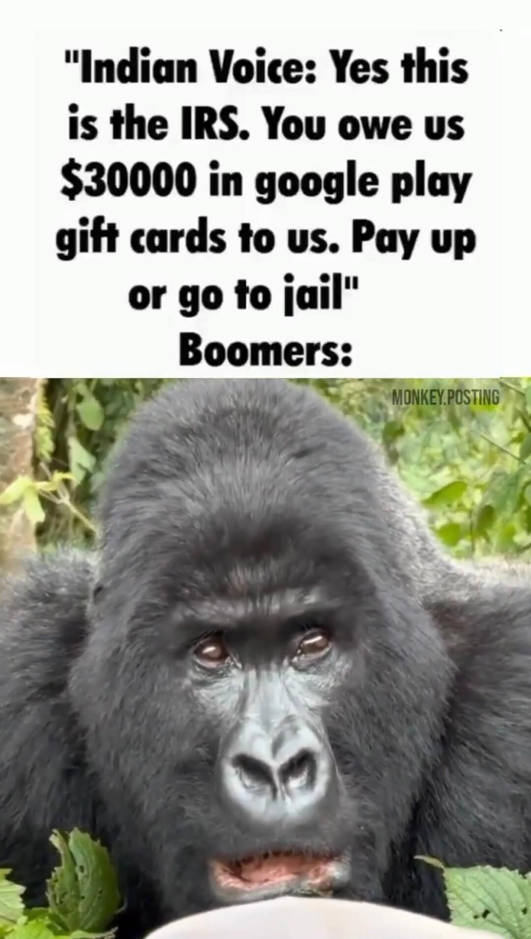 Indian Voice Yes this is the IRS You owe us 30000 in google play gift cards to us Pay up or go to jail Boomers TN AN Nl y
