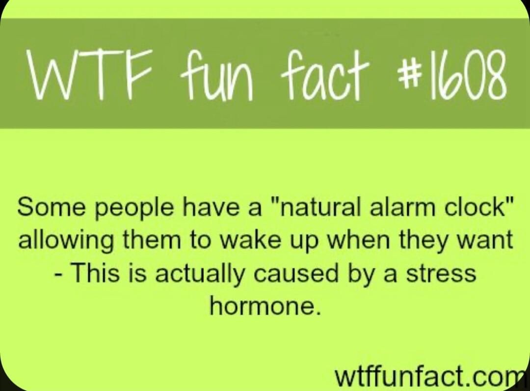 WTF fun fact 1608 Some people have a natural alarm clock allowing them to wake up when they want This is actually caused by a stress hormone wiffunfact og