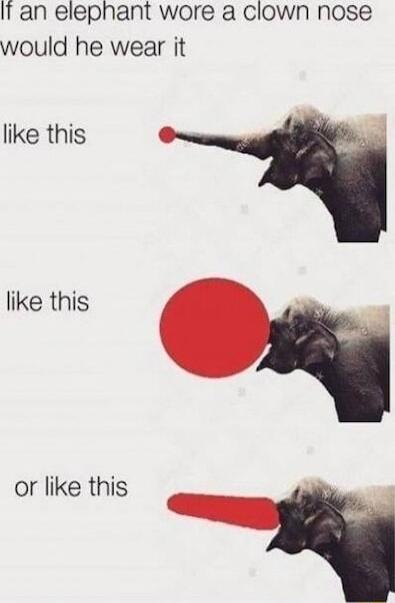 If an elephant wore a clown nose would he wear it like this like this or like this