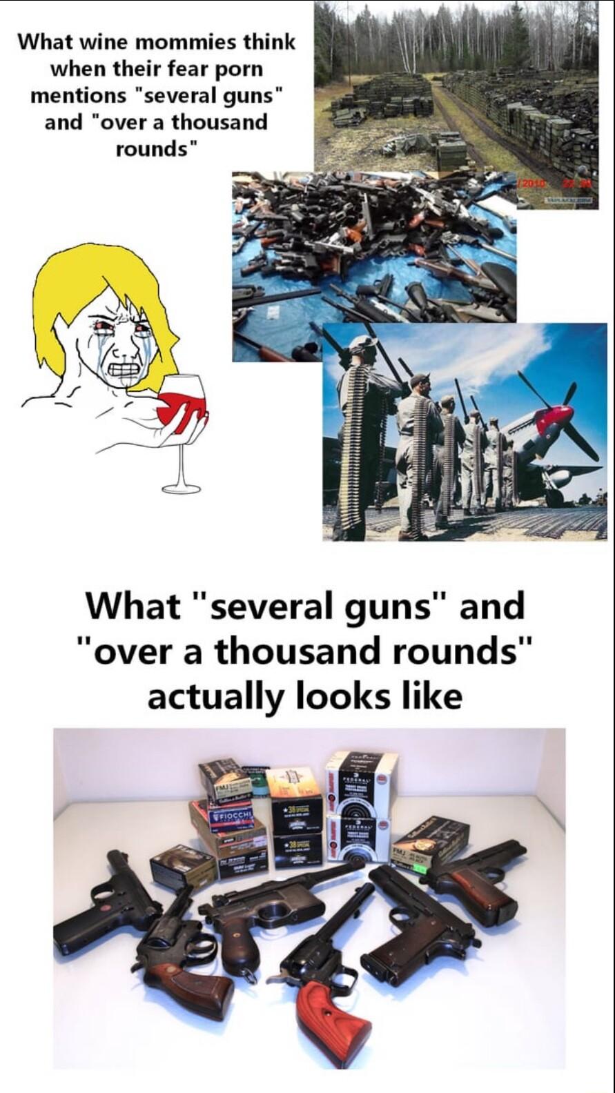 What wine mommies think when their fear porn mentions several guns and over a thousand rounds What several guns and over a thousand rounds actually looks like