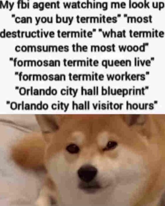 agent watching me look up can you buy termites most ructive termite what termite comsumes the most wood formosan termite queen live formosan termite workers Orlando city hall blueprint Orlando city hall visitor hours