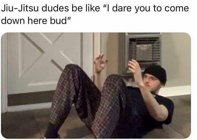 Jiu Jitsu dudes be like I dare you to come down here bud