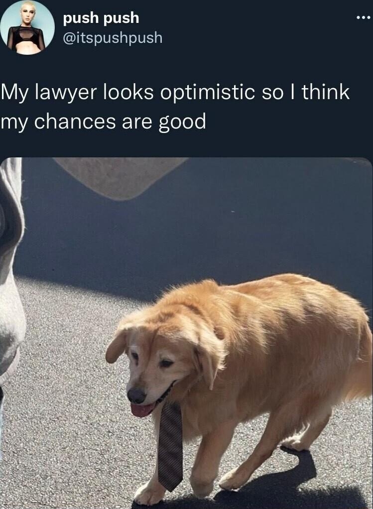 TELETE I ELIERITE My lawyer looks optimistic so think my chances are good