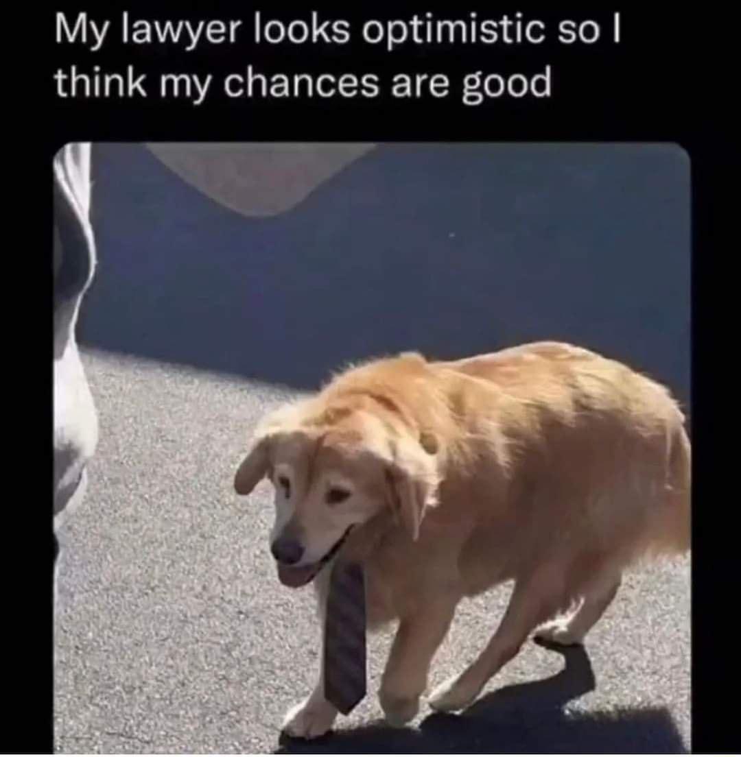 UAEVMYET eTol iR ol ol 1 oRTo M think my chances are good