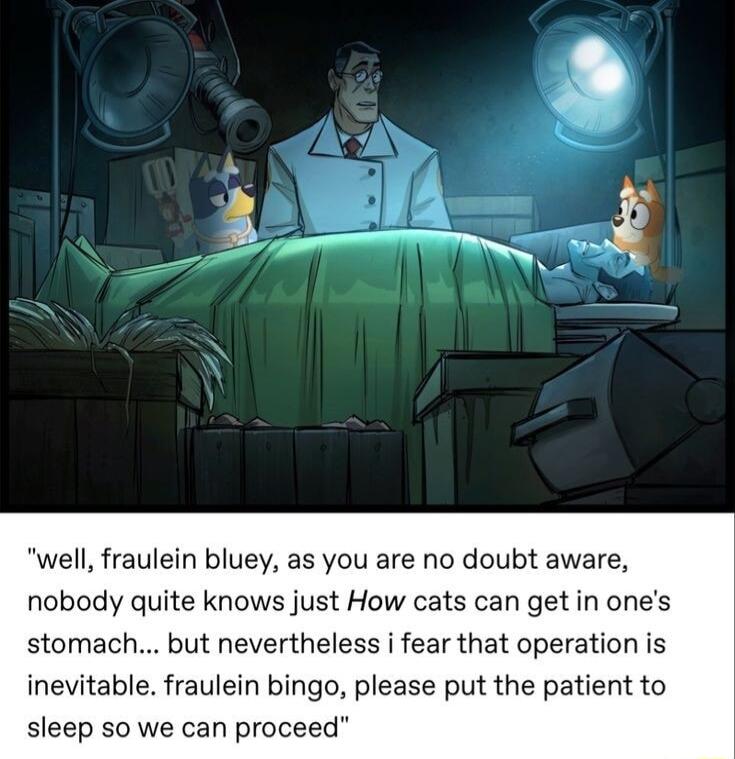 well fraulein bluey as you are no doubt aware nobody quite knows just How cats can get in ones stomach but nevertheless i fear that operation is inevitable fraulein bingo please put the patient to sleep so we can proceed