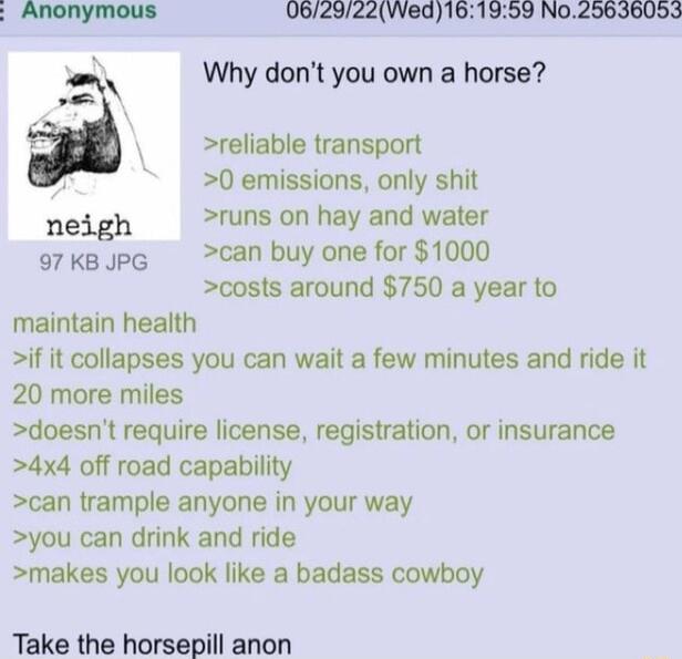 062922Wed161959 N025636053 Why dont you own a horse reliable transport 0 emissions only shit neigh runs on hay and water 97KBJPG can buy one for 1000 costs around 750 a year to maintain health if it collapses you can wait a few minutes and ride it 20 more miles doesnt require license registration or insurance 4x4 off road capability can trample anyone in your way you can drink and ride makes you l