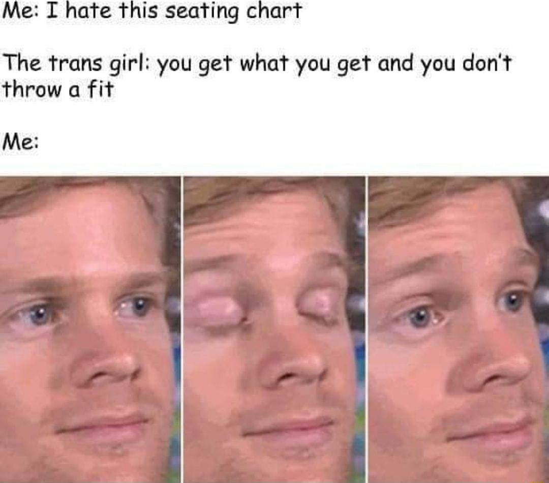 Me I hate this seating chart The trans girl you get what you get and you dont throw a fit Me