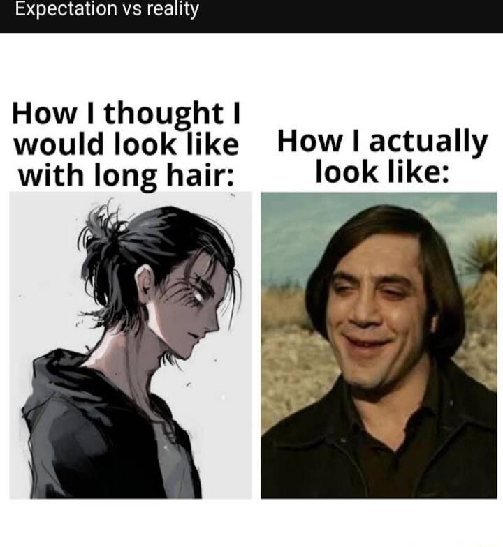 Expectation vs reality How thought would look like How I actually with long hair look like