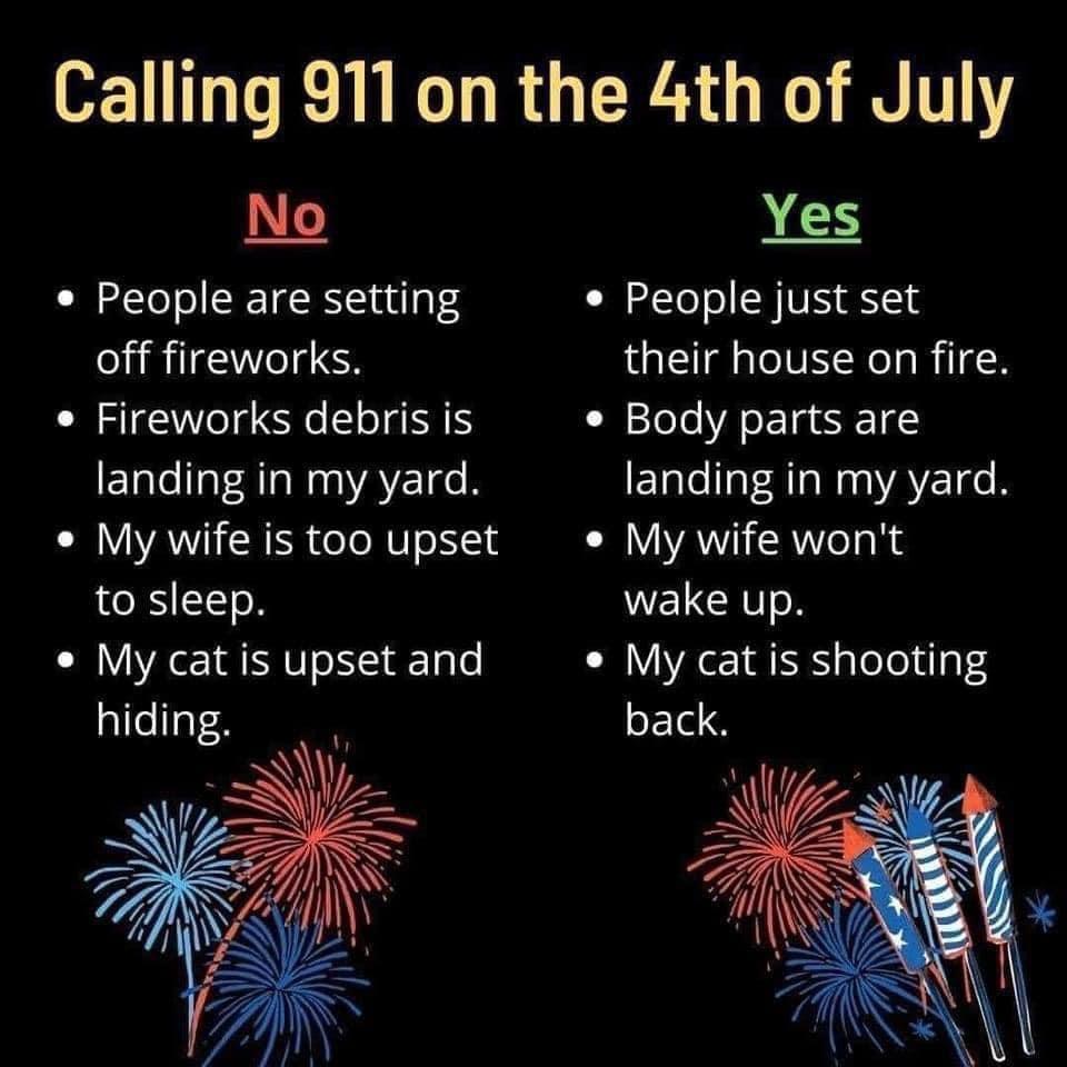 1L VRN RGERR G VT No Yes People are setting People just set off fireworks their house on fire Fireworks debris is Body parts are ELCILALEVAEIN ELCILEAL N ACIN My wife is too upset My wife wont to sleep wake up My cat is upset and My cat is shooting