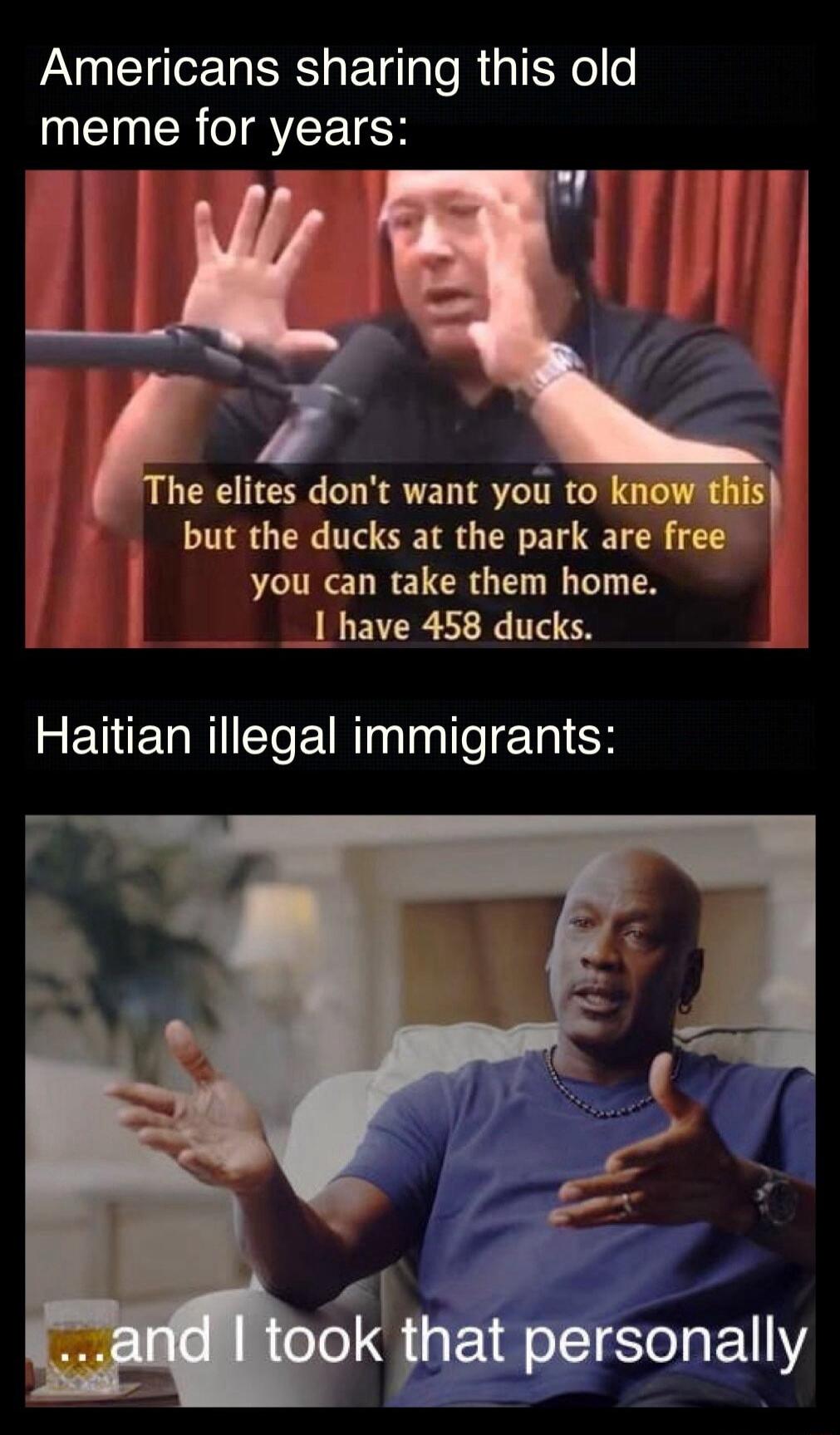 Americans sharing this old CINERTRYEETES i o g3 he elites dont want you to but the ducks at the park are free S REL RETCRG T TN _ have 458 ducks Haitian illegal immigrants