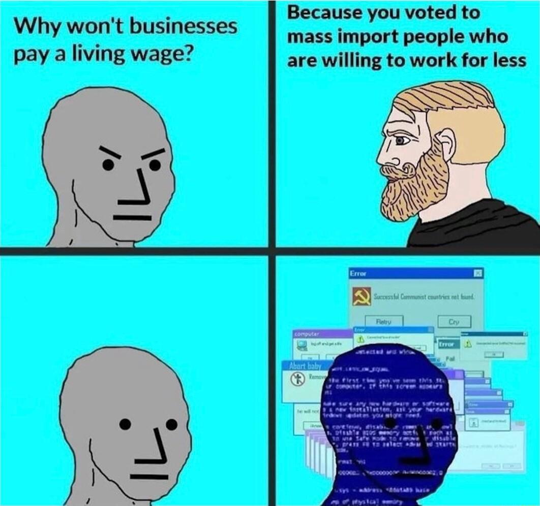Because you voted to Why wont businesses mass import people who pay a living wage are willing to work for less
