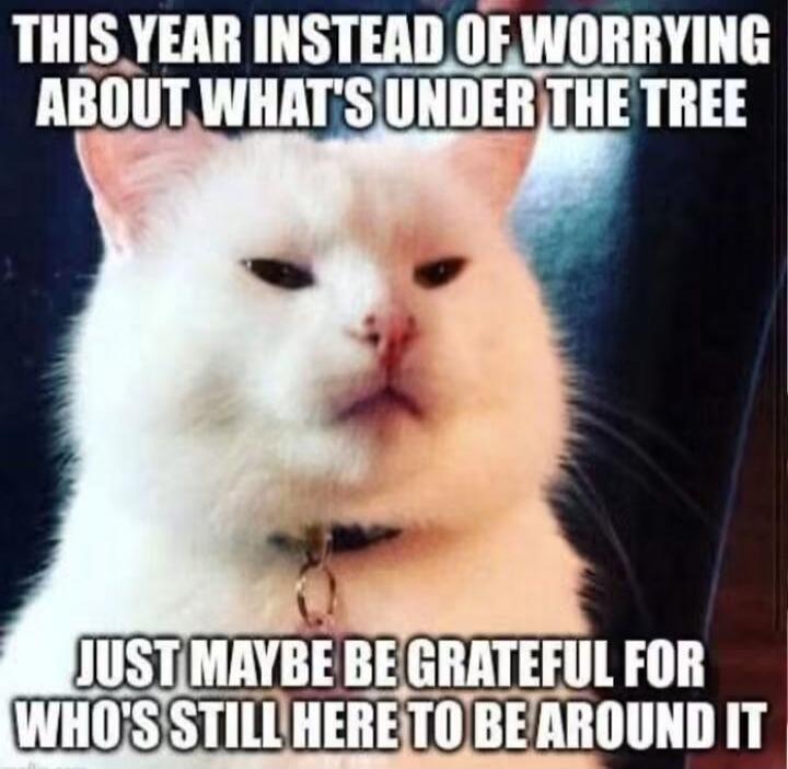 THIS YEAR INSTEAD OF WORRYING ABOUT WHAT'S UNDER THE TREE JUST MAYBE BE GRATEFUL FOR WHO'S STILL HERE TO BE AROUND IT
