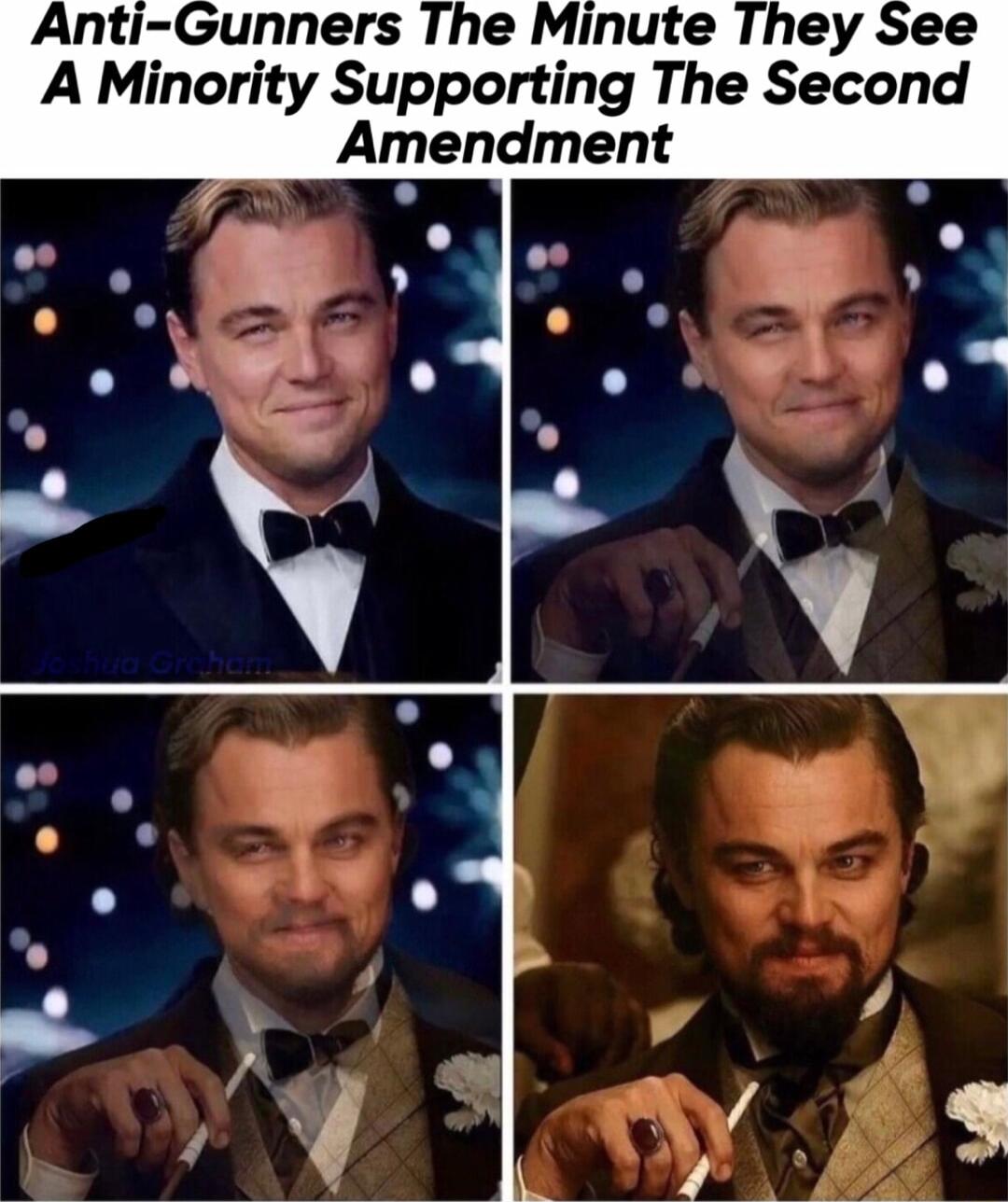 A Minority Supporting The Second Amendment