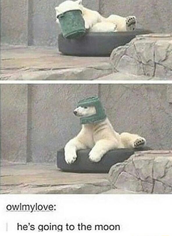 owimylove hes going to the moon