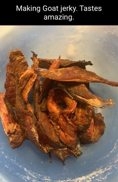 W EL Nl RIS S EN S ElEVAIeN