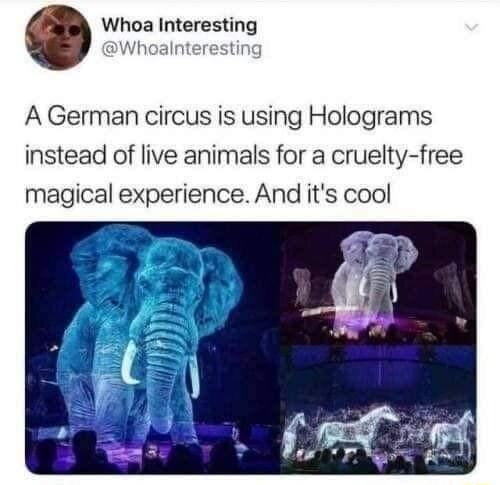 Whoa Interesting Whoalnteresting A German circus is using Holograms instead of live animals for a cruelty free magical experience And its cool