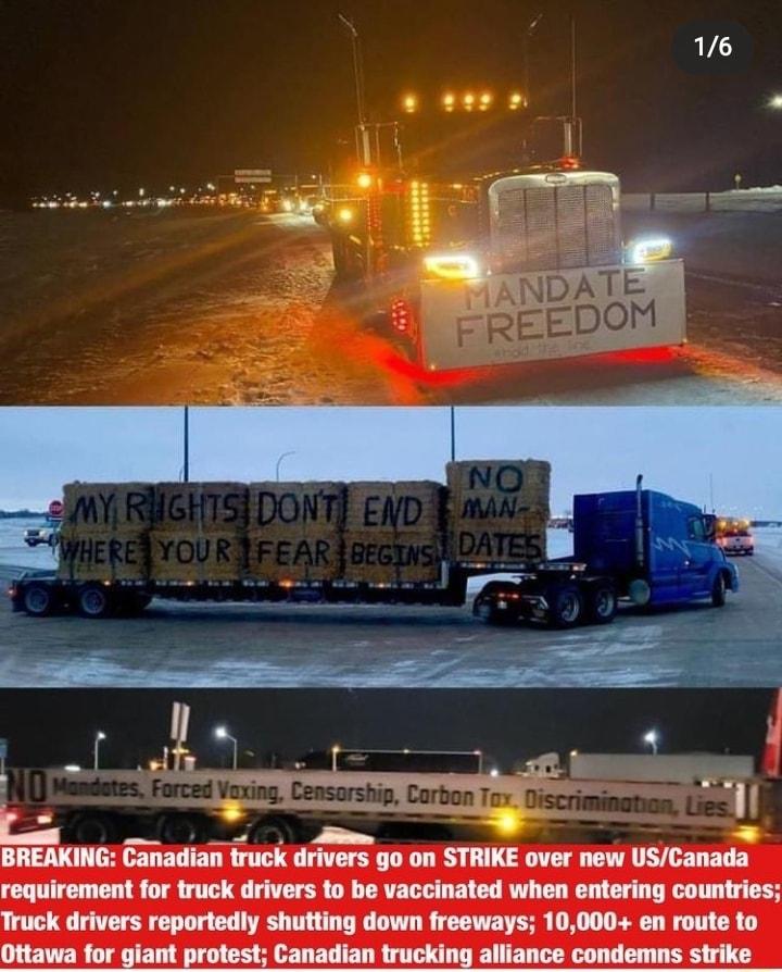 16 z ey fle Eo lc I BREAKING Canadian truck drivers go on STRIKE over new USCanada requirement for truck drivers to be vaccinated when entering countries Truck drivers reportedly shutting down freeways 10000 en route to Ottawa for giant protest Canadian trucking alliance condemns strike