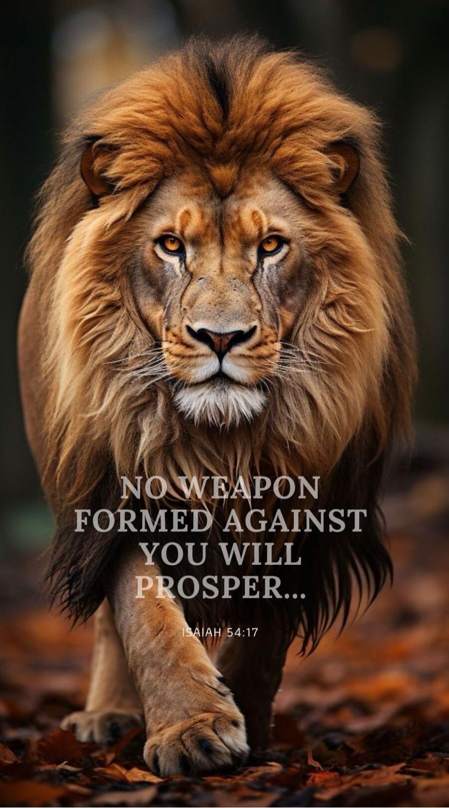 NO WEAPON FORMED AGAINST YOU WILL PROSPER... ISAIAH 54:17