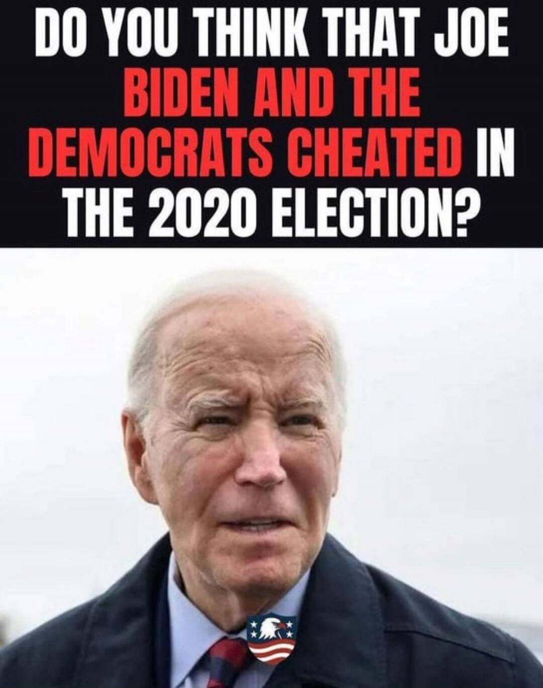 DO YOU THINK THAT JOE BIDEN AND THE DEMOCRATS CHEATED IN THE 2020 ELECTION?