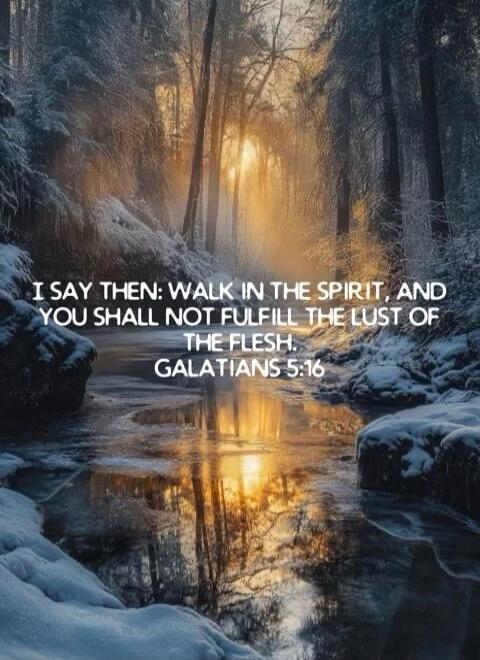 I SAY THEN: WALK IN THE SPIRIT, AND YOU SHALL NOT FULFILL THE LUST OF THE FLESH. GALATIANS 5:16