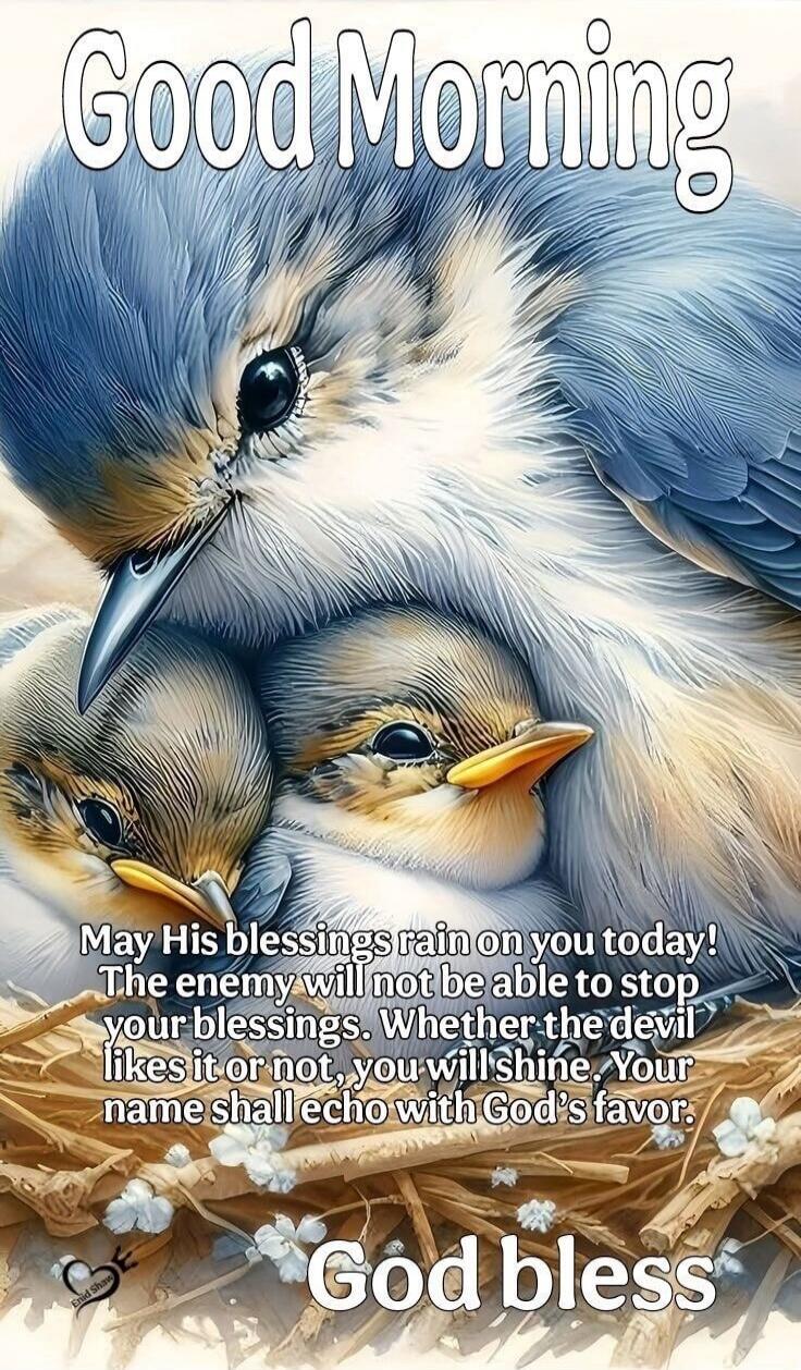 Good Morning May His blessings rain on you today! The enemy will not be able to stop your blessings. Whether the devil likes it or not, you will Shine. Your name shall echo with God's favor. God bless