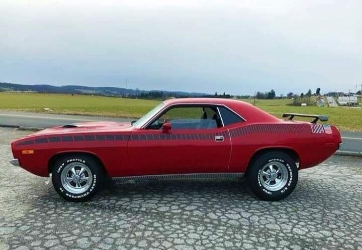 CUDA MICKEY THOMPSON INDY PROFILE