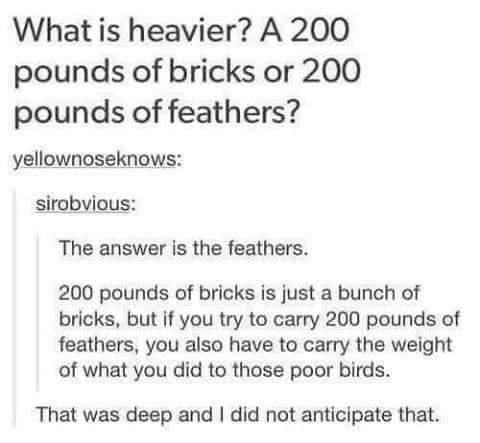 What is heavier A 200 pounds of bricks or 200 pounds of feathers yellownoseknows sirobvious The answer is the feathers 200 pounds of bricks is just a bunch of bricks but if you try to carry 200 pounds of feathers you also have to carry the weight of what you did to those poor birds That was deep and did not anticipate that